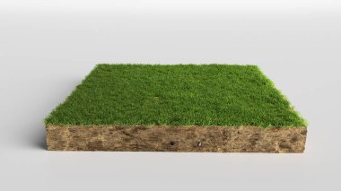 Toprak arazisi ve yeşil çimlerle kesişen 3 boyutlu illüstrasyon toprak zemin kesimi, gerçekçi 3D çizim zemini