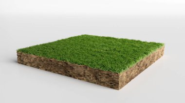 Square of green grass field over white background, 3D Illustration clipart