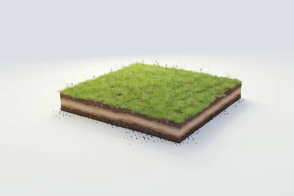 Cubical Beautiful Grass Land Soil Geology Cross Section Illustration Ground — 스톡 사진