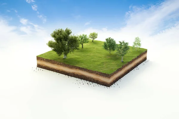 3D cubical garden grass land with trees, soil geology cross section, 3D Illustration ground ecology isolated on blue sky