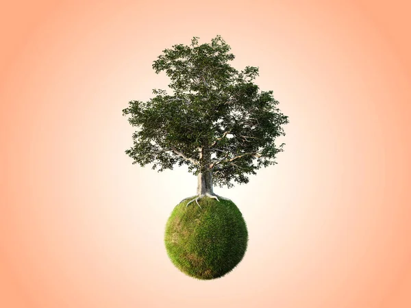 Gyönyörű Fák Elszigetelt Koncepcionális Mini Lebegő Földgömb Sokféleséggel Természeti Tájak — Stock Fotó