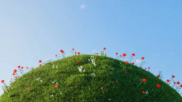 Grüne Grashügel Mit Kleinen Roten Und Weißen Blume Isoliert Über — Stockfoto