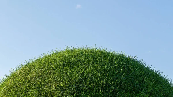 과맑은 하늘에 잔디밭을 렌더링하는 — 스톡 사진