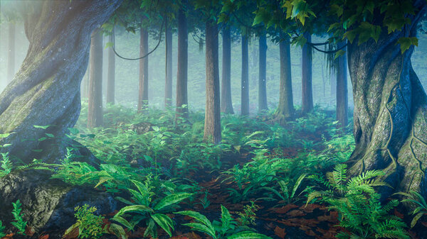 Tropical green forest in a misty morning with warm rays light