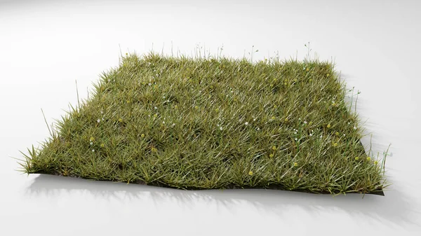 Çiçekli çim tarlasının karesinin 3B Görünümü 