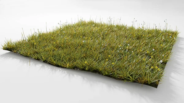 Beyaz arkaplanda çiçekler olan çimen tarlasının 3D Görüntü Meydanı