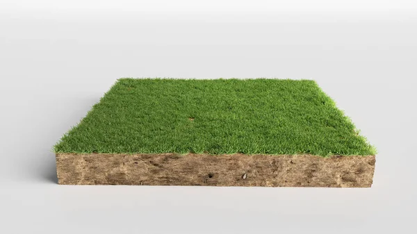 3D Illustration soil ground cross section with earth land and green grass, realistic 3D rendering cutaway terrain floor