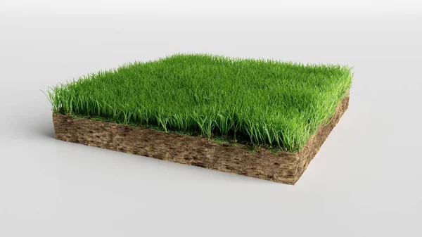 realistic 3D rendering cutaway terrain floor, 3D Illustration soil ground cross section with earth land and green grass