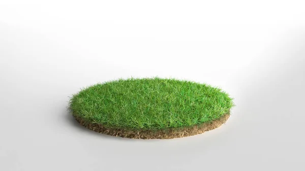 Yuvarlak yeşil çimen parçası beyaz arka planda izole edilmiş. 3B illüstrasyon