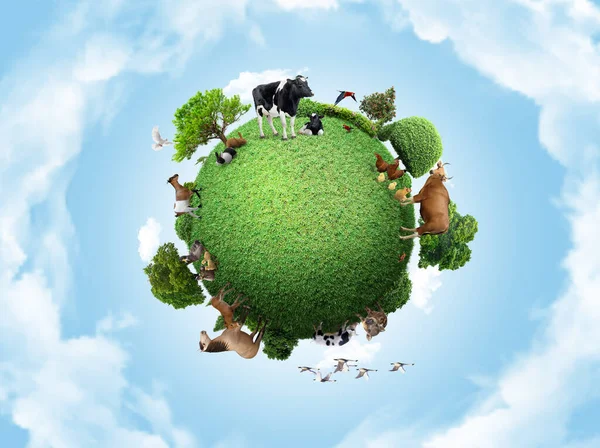 Green Peace Earth Miniatur Planet Globus Konzept Das Ein Grünes — Stockfoto