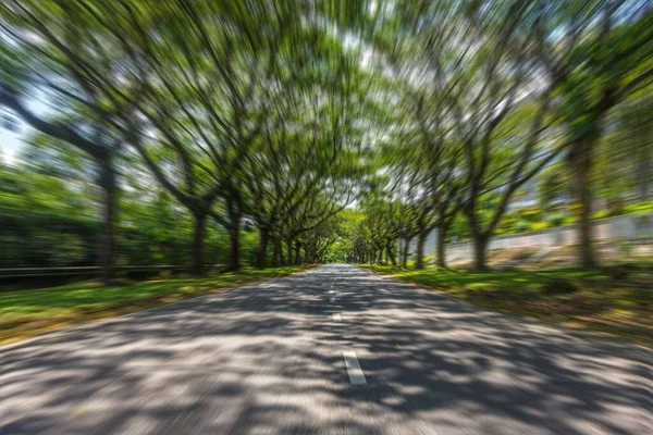 Rua Borrão Movimento Com Árvores Dia Ensolarado — Fotografia de Stock