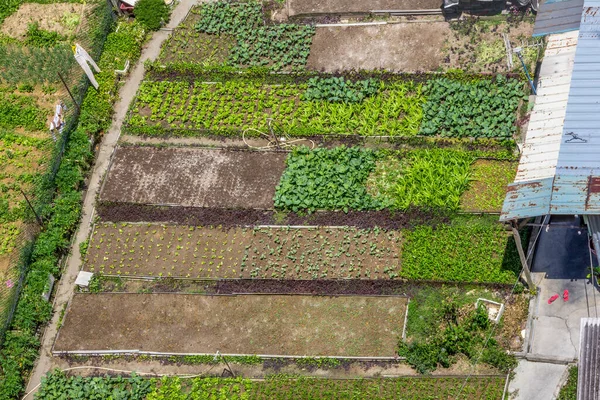 Tiro Vista Superior Para Fazenda Vegetal Aldeia Kampung — Fotografia de Stock