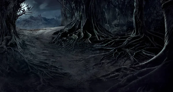 在雾蒙蒙的夜林中 有扭曲的树根的神秘森林 — 图库照片
