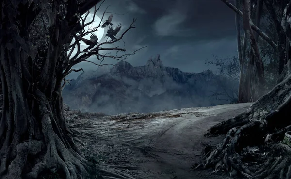 Dead Cliff Road Dead Mysterious Forest Three Crows Night Scary — Stock Photo, Image