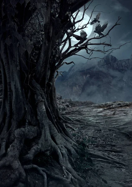 Copac Mort Înfricoșător Noapte Pădurea Misterioasă Lumina Lunii Trei Ciori — Fotografie, imagine de stoc