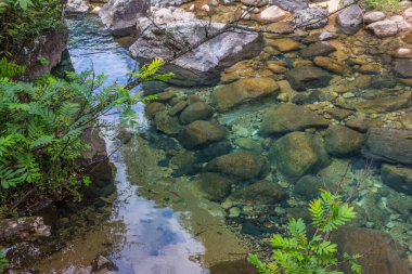 Huangshan, Çin 'de zümrüt yeşili suyu olan güzel bir nehir manzarası.