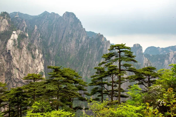 黄山风景的自然景观 座落于中国东部安徽省南部 它是联合国教科文组织的世界遗产 — 图库照片