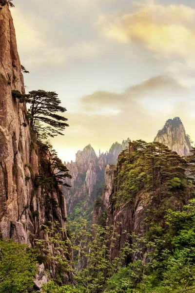 中国黄山景观 — 图库照片