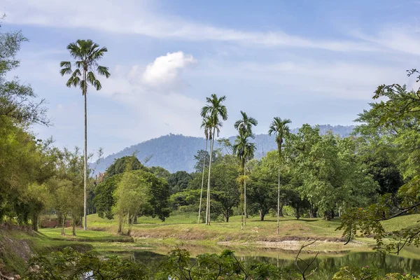 Parque Verão Taiping Lago Jardim — Fotografia de Stock