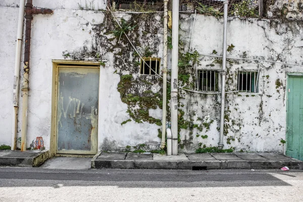 Verlassenes Gebäude Voller Moos Und Unkraut Der Seitenstraße — Stockfoto