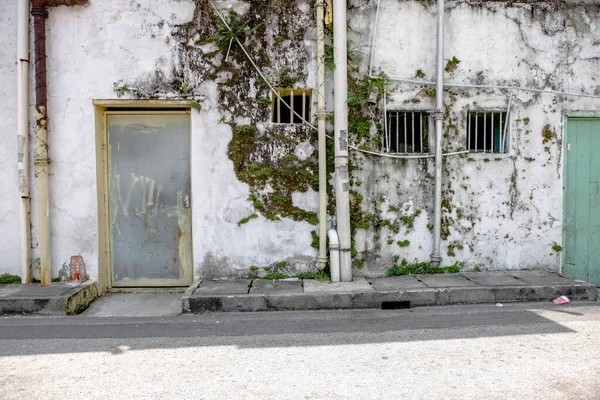 Tür Und Fenster Einem Verlassenen Gebäude Voller Moos Und Unkraut — Stockfoto