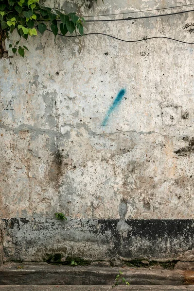 Teil Einer Alten Mauer Mit Kalkansammlungen — Stockfoto