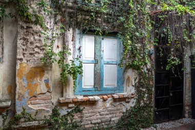 Çalı bitkisiyle kaplı eski tuğla duvar arka planı