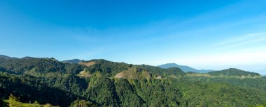 Yaz ormanı olan dağ vadisinin havadan manzarası.
