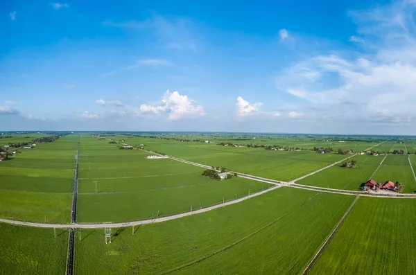 Luchtfoto Van Prachtig Groen Rijstveld Sekinchan Selangor — Stockfoto