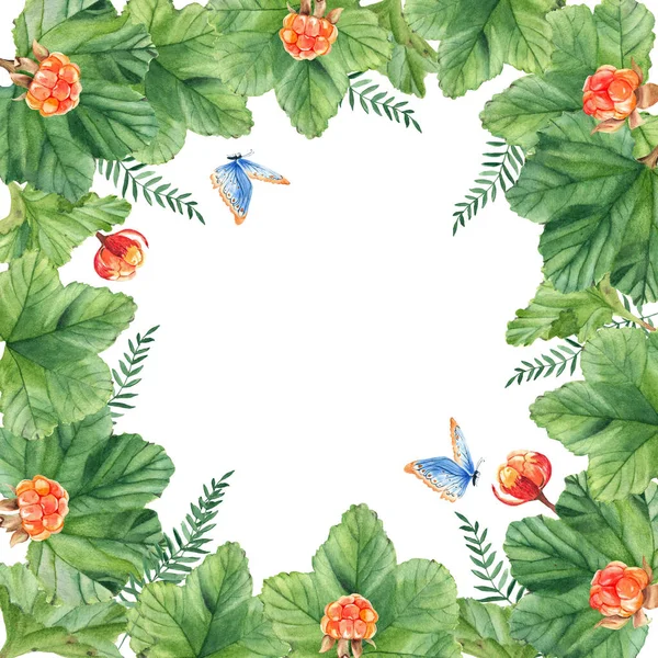 Cloudberry frame with leaves, berries and butterfly. Isolated on white background. Watercolor hand drawn illustration. Ideal for cards and invitaton design. — Stock Photo, Image