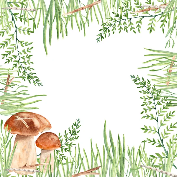 Erdőkeret gombával. Kézzel festett ágak, fű, gallyak és gombák, fehér alapon elszigetelve. Akvarell botanikai illusztráció. — Stock Fotó