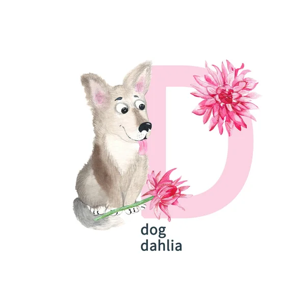 Buchstabe Großbuchstaben Hundewelpen Rosa Dahlie Niedliche Kinder Bunte Tiere Und — Stockfoto