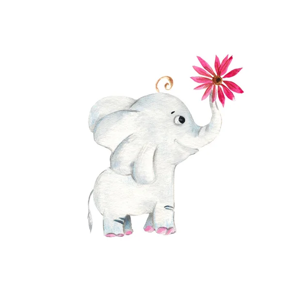 Rozkošný Sloní Mládě Růžová Echinacea Izolované Bílém Pozadí Akvarel Ručně — Stock fotografie