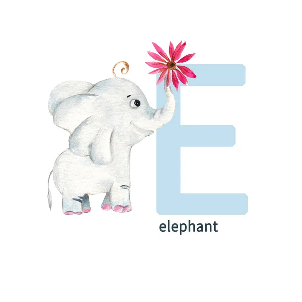 Písmeno Velké Sloní Mládě Růžovou Echinaceou Roztomilé Děti Barevná Zvířata — Stock fotografie