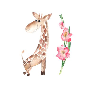 Sevimli bebek zürafa ve pembe gladiolus. Beyaz arka planda izole edilmiş. Suluboya el çizimi çizimi. Çocuk kartları, posterleri, kıyafet baskıları, çıkartma tasarımı, yapıştırma kitabı için mükemmel..