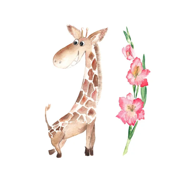 Adorable baby giraffe and pink gladiolus. Isolated on white background. Watercolor hand drawn illustration. Perfect for kid cards and posters, clothes prints, stickers design, scrapbooking.