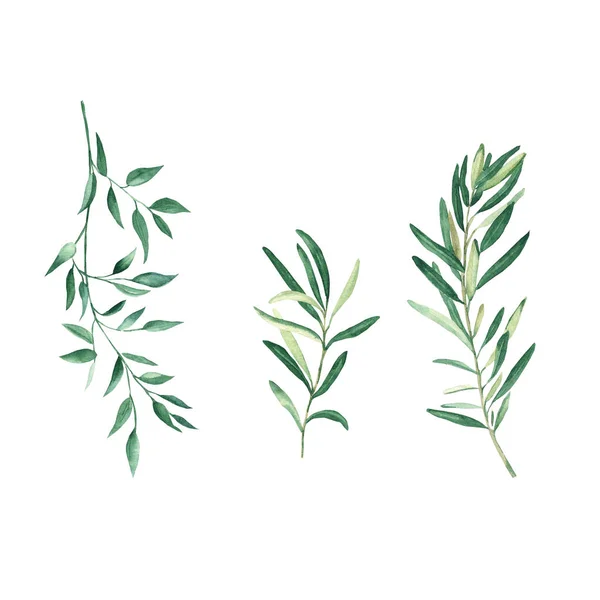 Green Olives Pistachio Branches Set Isolated White Background Watercolor Hand — Φωτογραφία Αρχείου