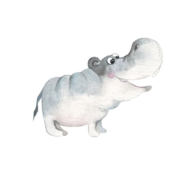Funny Hippo Isolated White Background Watercolor Hand Drawn Illustration Perfect — Stock fotografie
