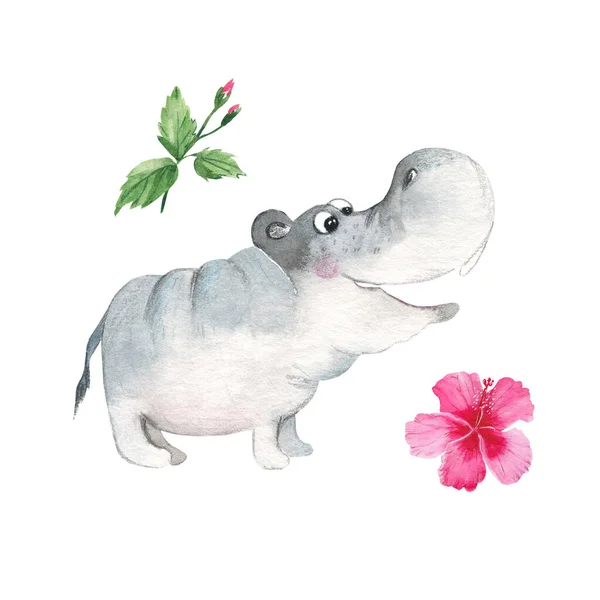 Funny hippowith hibiscus flower isolated on white background. Watercolor hand drawn illustration. Perfect for kid cards and posters, clothes prints and cosmetic design.