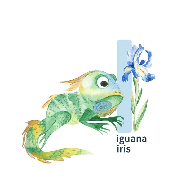 Letter Iguana Blue Iris Cute Kids Colorful Animals Flower Abc — Stock fotografie