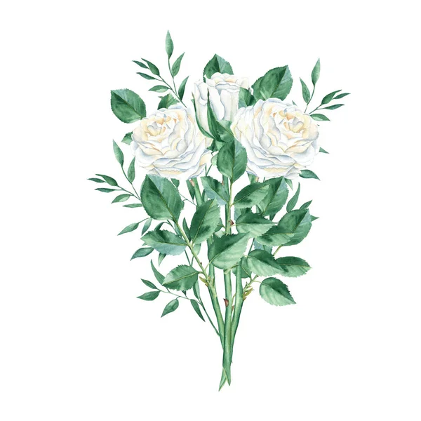 Білий Трояндовий Акварельний Букет Ізольований Білому Тлі Вершкові Троянди Гудзики — стокове фото