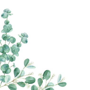 Watercolor frame, eucalyptus branches. Rustic greenery. Hand drawn botanical illustration isolated on white background. Ideal for stationery, invitations, save the date, wedding, greeting card, baby