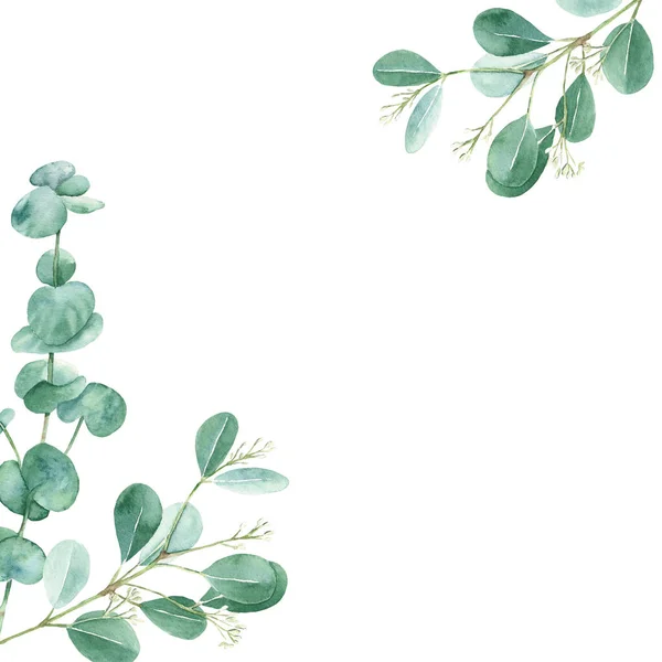 Watercolor frame, eucalyptus leaves. Rustic foliage. Hand drawn botanical illustration isolated on white background. Ideal for stationery, invitations, save the date, wedding, greeting card, baby