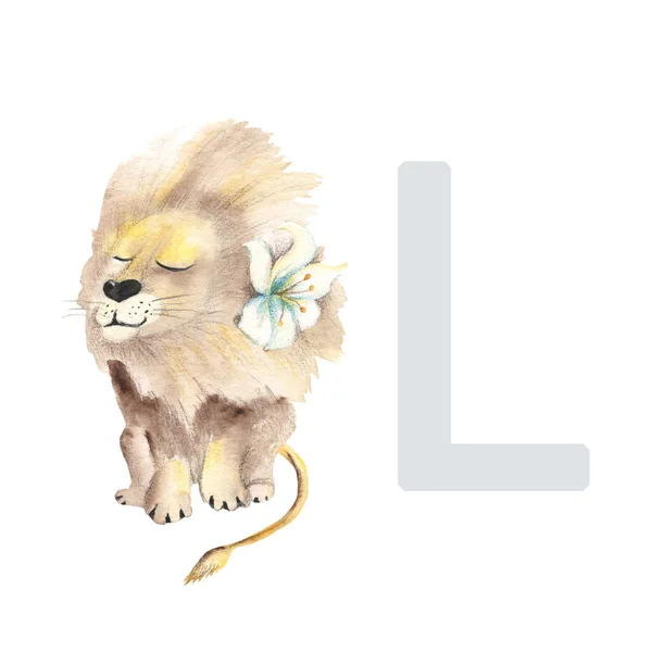 Letter L, lion, cute kids animal ABC alphabet. Watercolor illustration isolated on white background. Can be used for alphabet or cards for kids learning English vocabulary and handwriting.