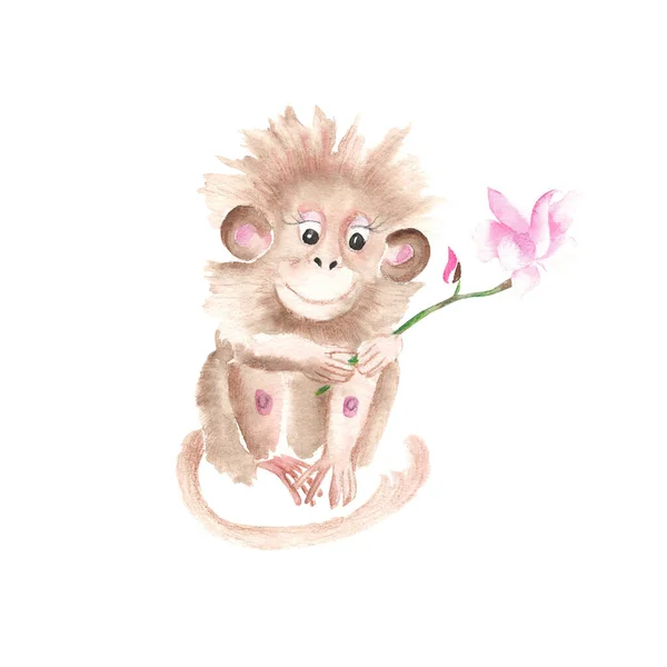 Cute Monkey Magnolia Flower Isolated White Background Watercolor Hand Drawn — Stock fotografie