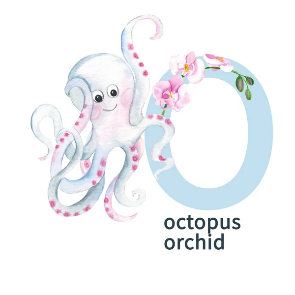 Letter O, octopus and orchid, cute kids animal and flower ABC alphabet. Watercolor illustration isolated on white background. Can be used for alphabet or cards for kids learning English vocabulary and
