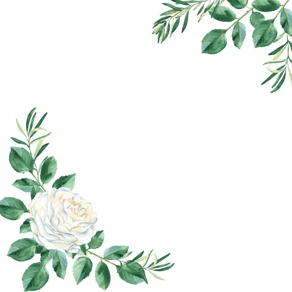 Watercolor square frame with white roses and olive branches. Hand drawn botanical illustration isolated on white background. Can be used as invitation card for wedding, birthday and other holiday, as