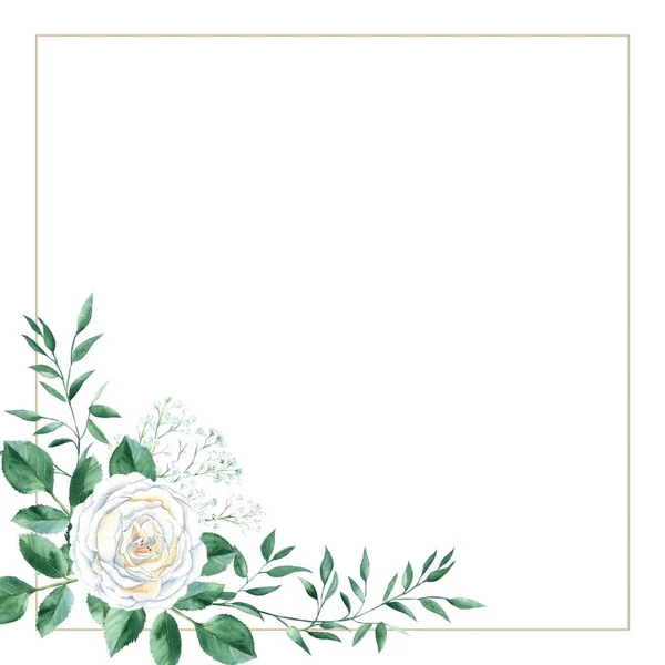 Watercolor square frame with white roses, gypsophila and rustic greenery. Hand drawn botanical illustration isolated on white background. Can be used as invitation card for wedding, birthday