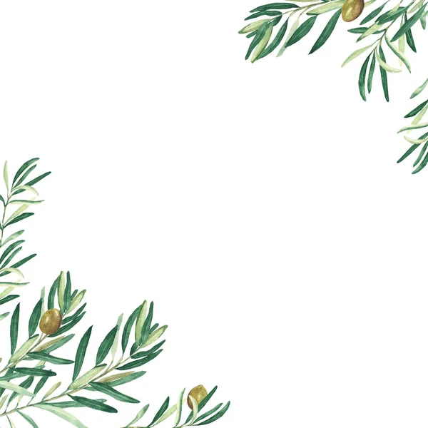 Olive tree corners. Green olives. Vegan food illustration. Hand drawn watercolor botanical illustration isolated on white background. Can be used for cards, logos and food design