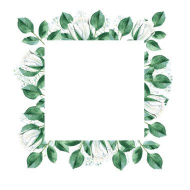 Watercolor floral frame, creamy white roses and green leaves, gypsophila branches. Hand drawn botanical illustration isolated on white background. Ideal for vintage stationery, invitations, save the